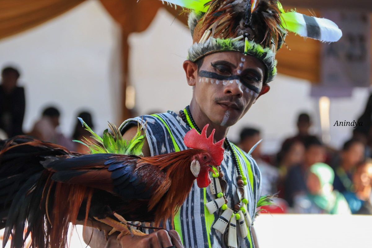 Man in traditional costume with feather headdress holding a rooster